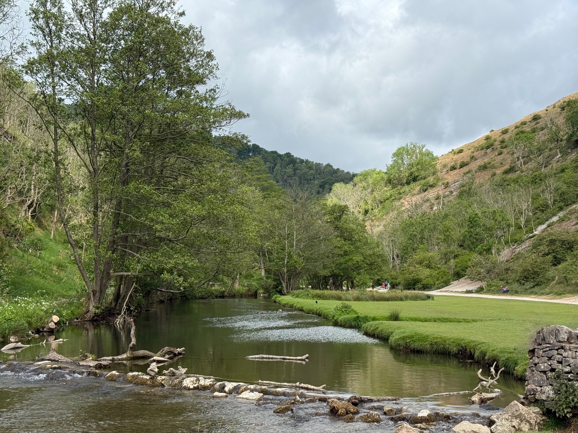 Pausing in Family Constellations: Feeling the Shift